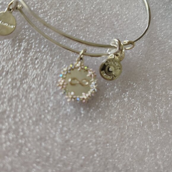 HTF Alex and Ani You are Loved Infinity Symbol Bangle  406 - Picture 3 of 5